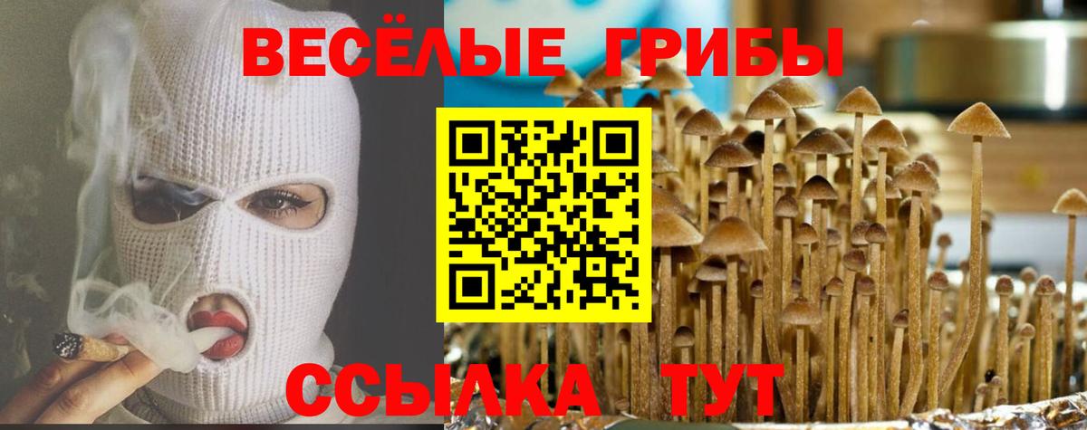 Смоленск  Галлюциногенные грибы Magic Shrooms  наркотики  Вход с VPN 